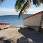 Saona Island Full-Day All-Inclusive Tour from Santo Domingo